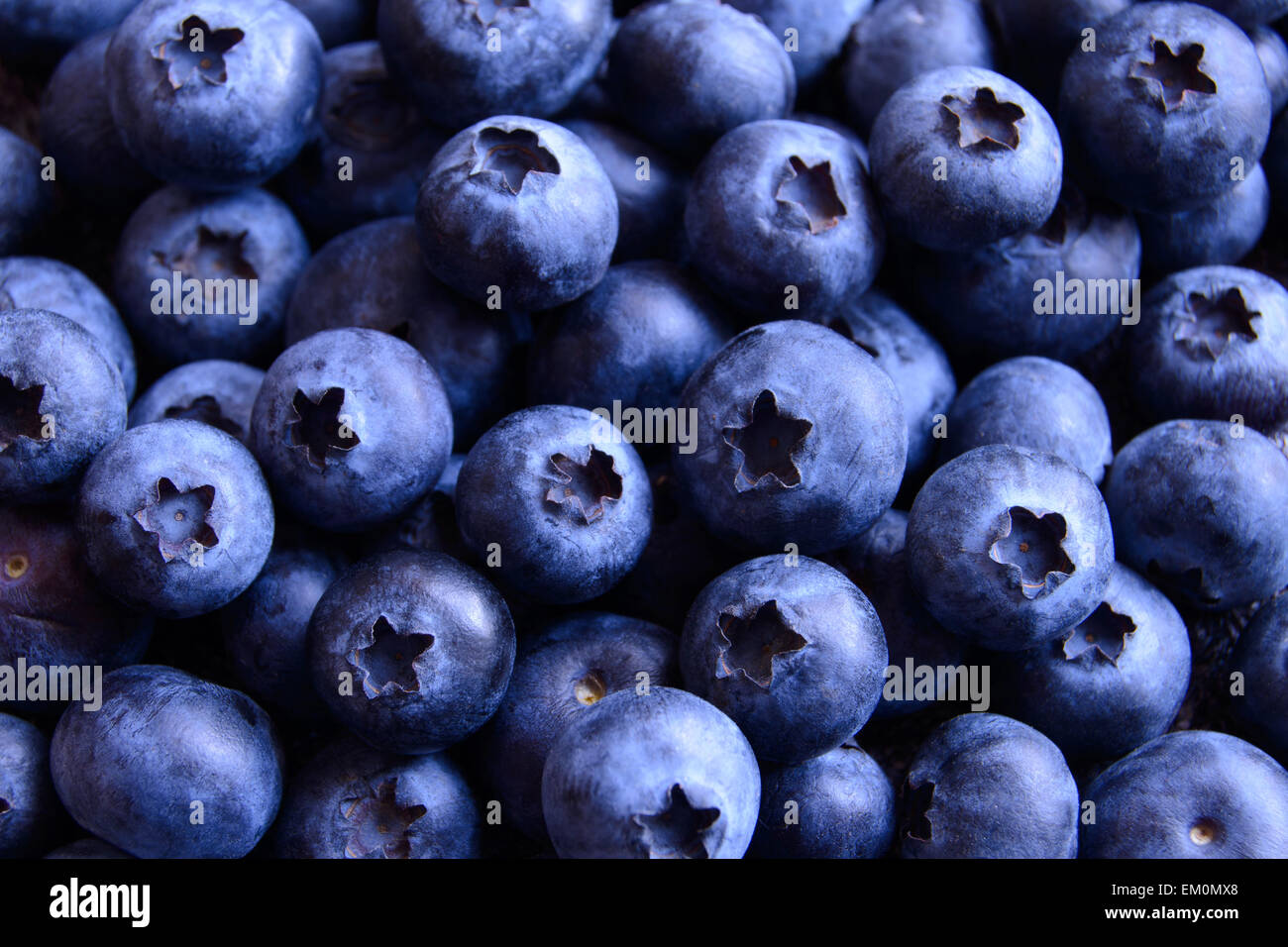 Closeup Image of Ripe Sweet Blueberries Stock Photo Alamy