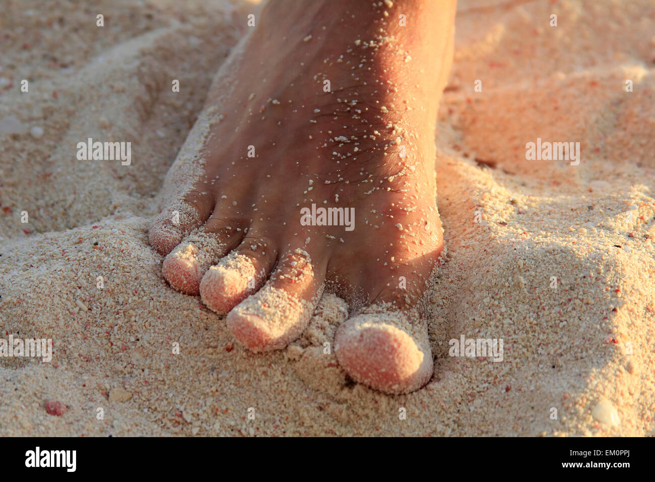 Beach men thong hi-res stock photography and images - Alamy