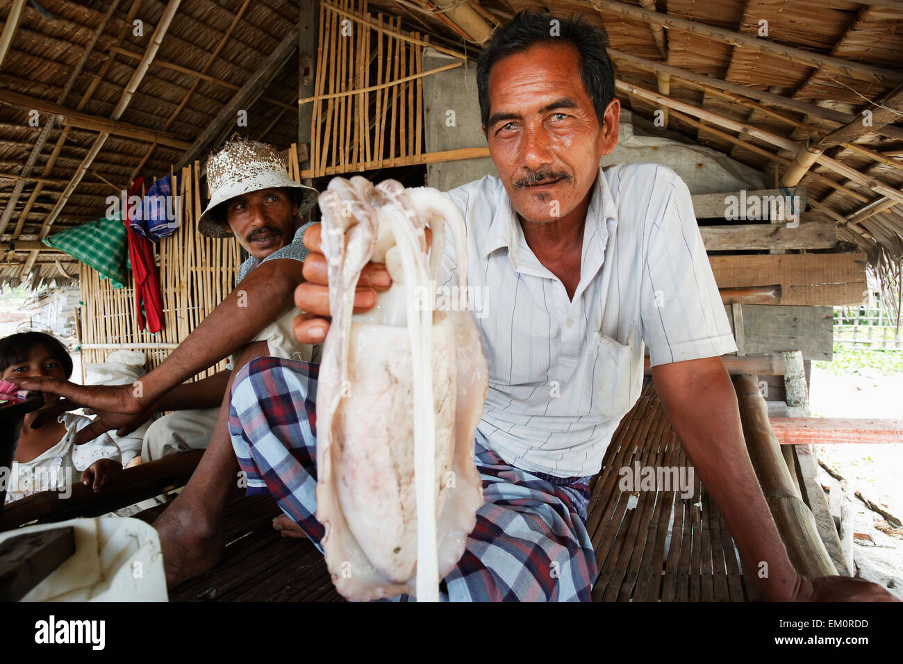 A fisherman with an octopus catch in Lhok Seudu village; Aceh Province, Sumatra, Indonesia Stock Photo