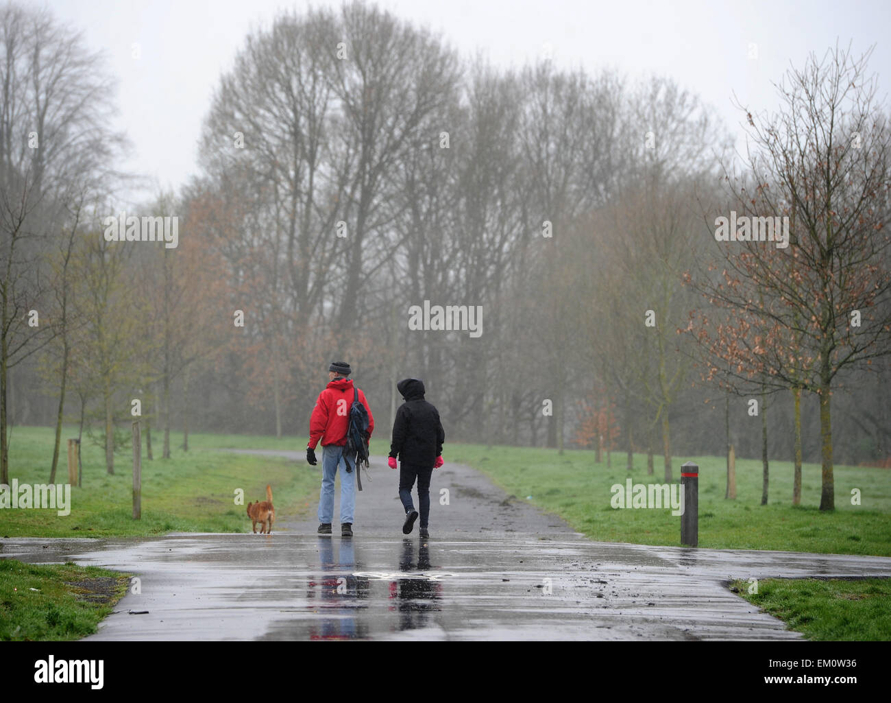 As the south of England basks in Mediterranean temperatures, it was dull and drizzly for these dog walkers  in Bolton Stock Photo