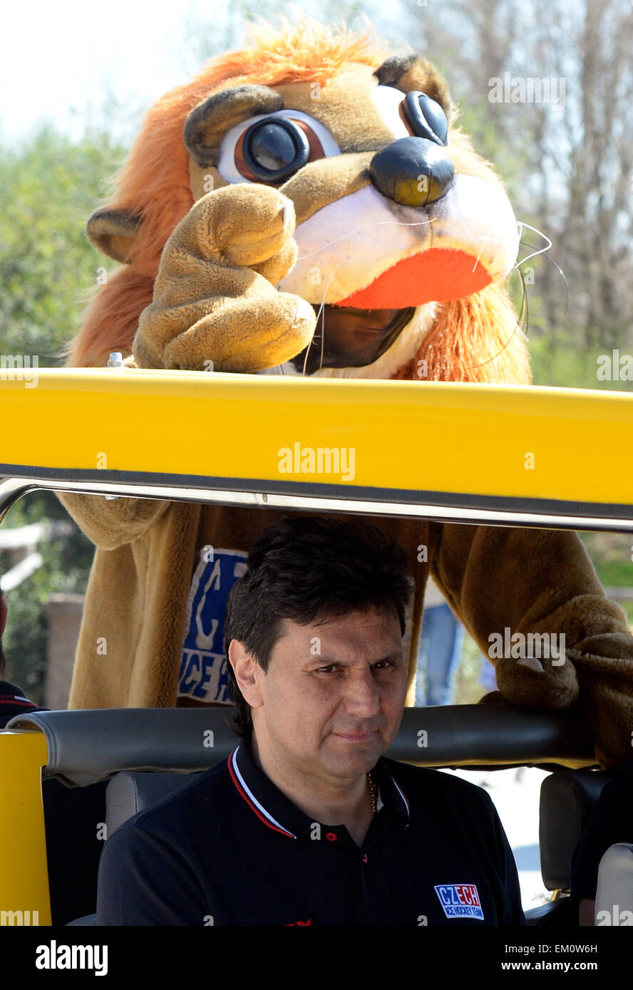 Representatives of the Czech ice hockey national team led by coach Vladimir Ruzicka (pictured) fed the Indian lions at the Prague zoo, Czech Republic, April 15, 2015. (CTK Photo/Michal Krumphanzl) Stock Photo