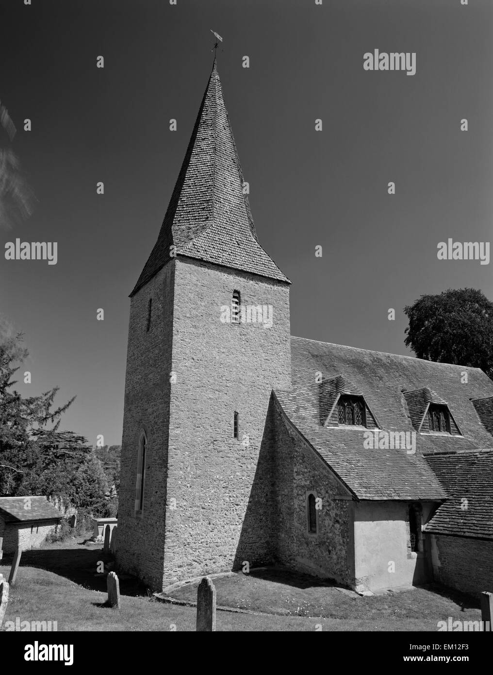 St Nicholas' church, Compton, Surrey: pre-Conquest tower with C14th timbered broach spire re-shingled in 1950. Stock Photo