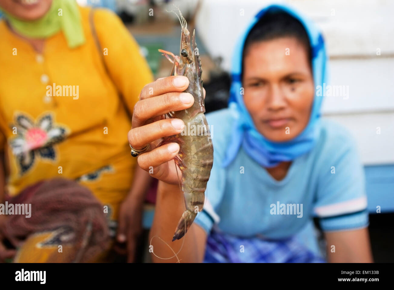 Fisherwoman with a fresh caught prawn; Aceh Province, Sumatra, Indonesia Stock Photo