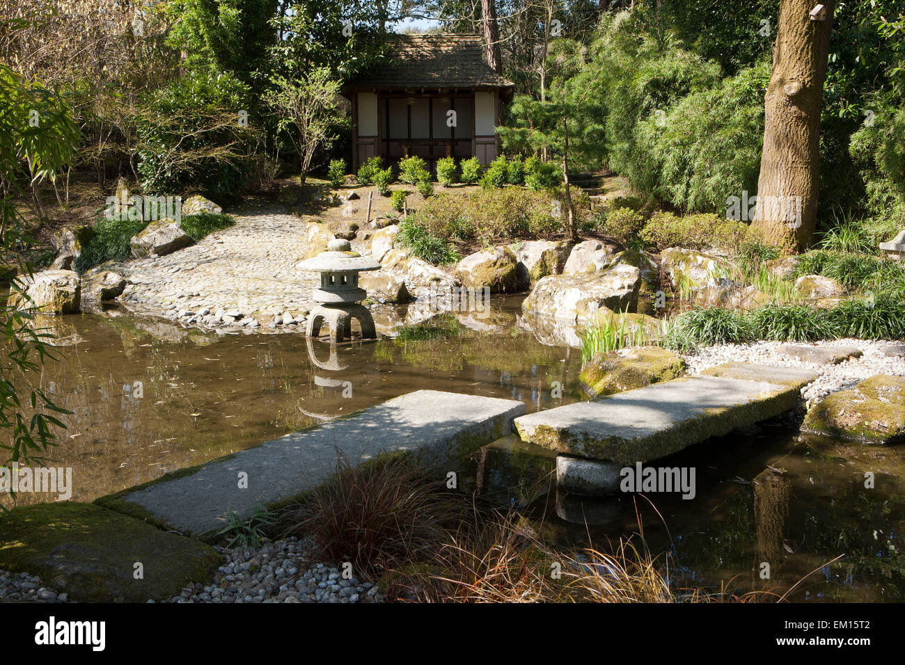 The Japanese Garden at Pinetum Park St Austell  Cornwall on a Spring Day. Stock Photo