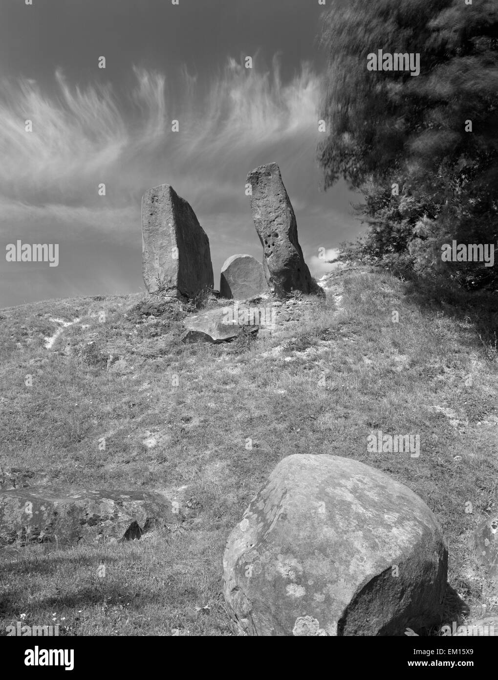 Disturbed stone burial chamber (pottery fragments, a flint saw & human remains) at E end of Coldrum Neolithic long barrow, Medway Valley, Kent. Stock Photo