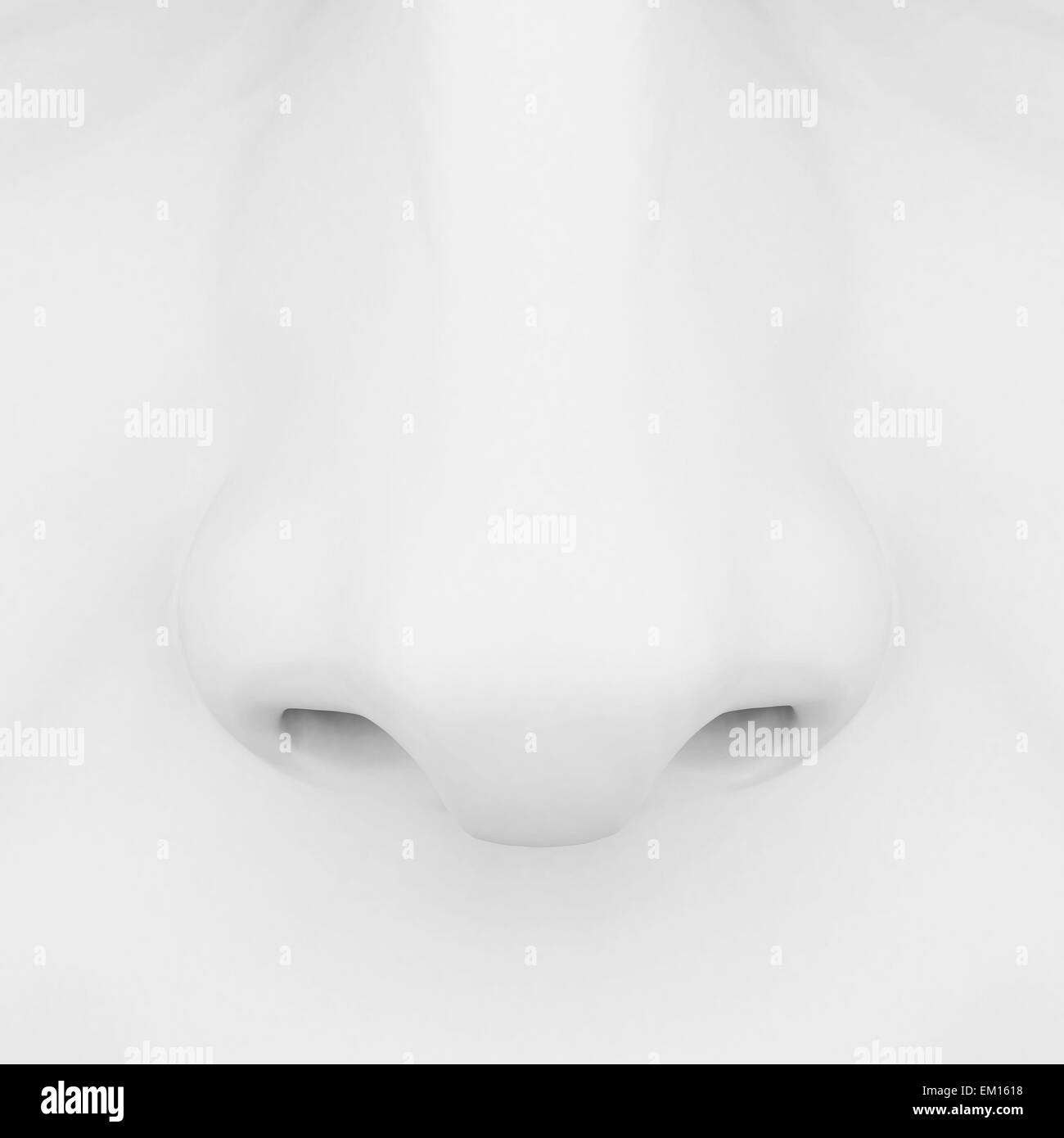 Anatomy of the nose Black and White Stock Photos & Images - Alamy