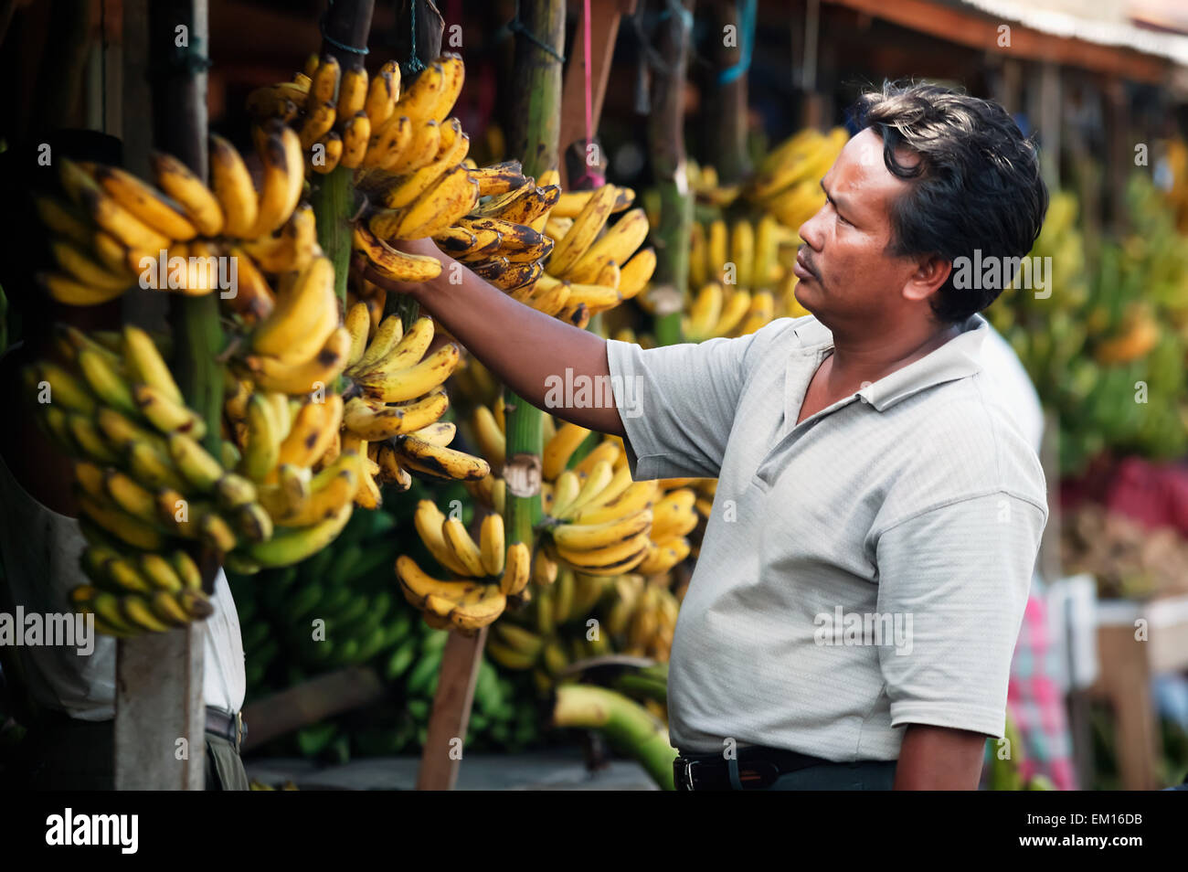 Stall holder sells bananas from the market; Banda Aceh, Sumatra, Indonesia Stock Photo