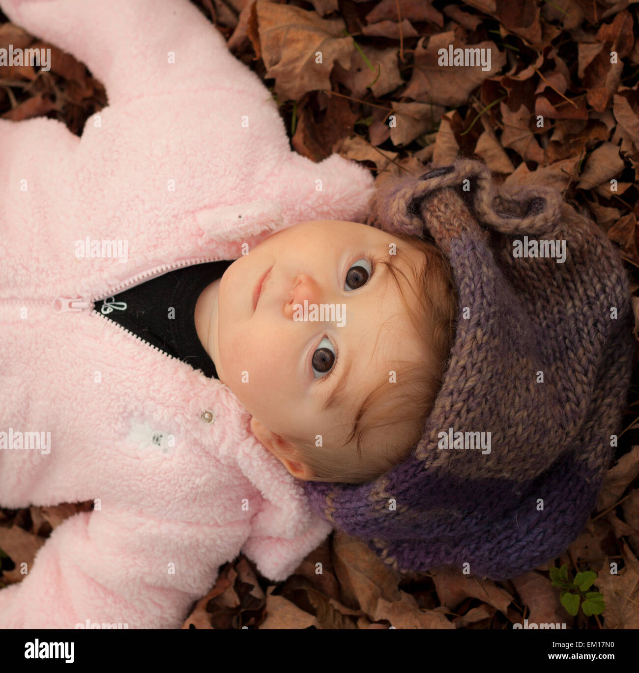 First autumn days and my baby Avalon is enjoying the day lying on the leaves blanket. Stock Photo