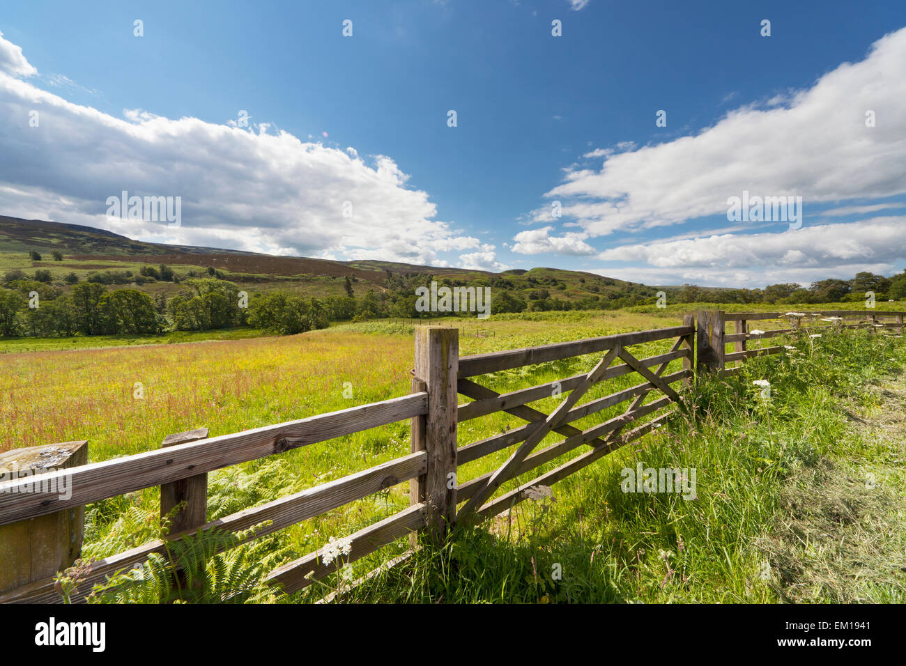 A Wooden Fence Along The Edge Of A Field; Northumberland England Stock Photo