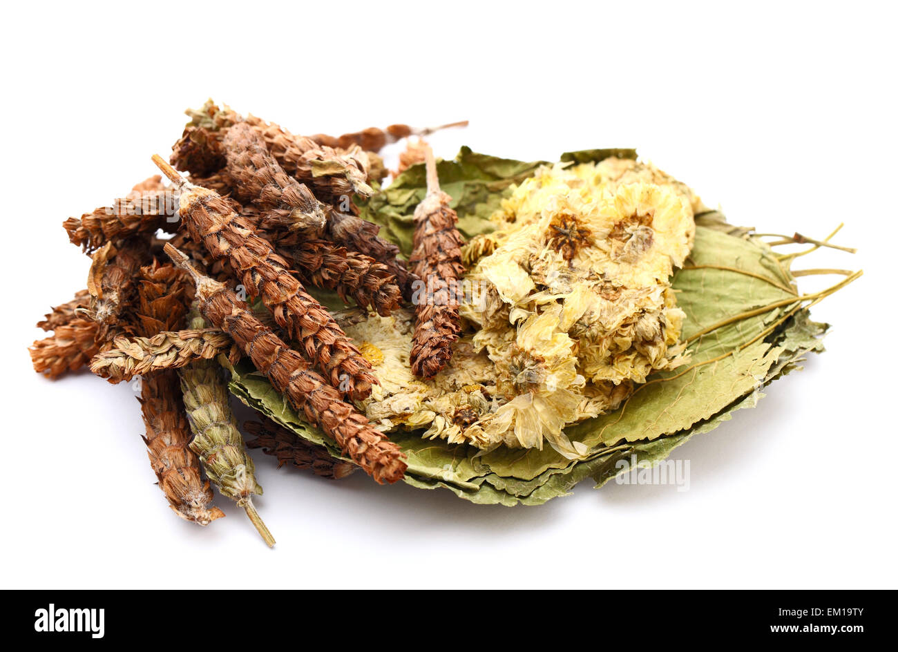 Chinese herbal medicine ingredient Stock Photo Alamy