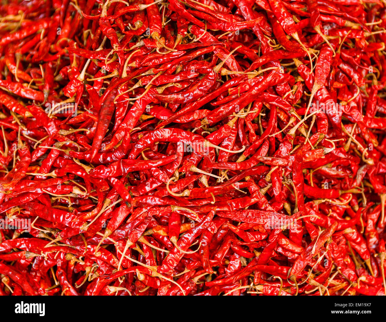 Chilli peppers Stock Photo