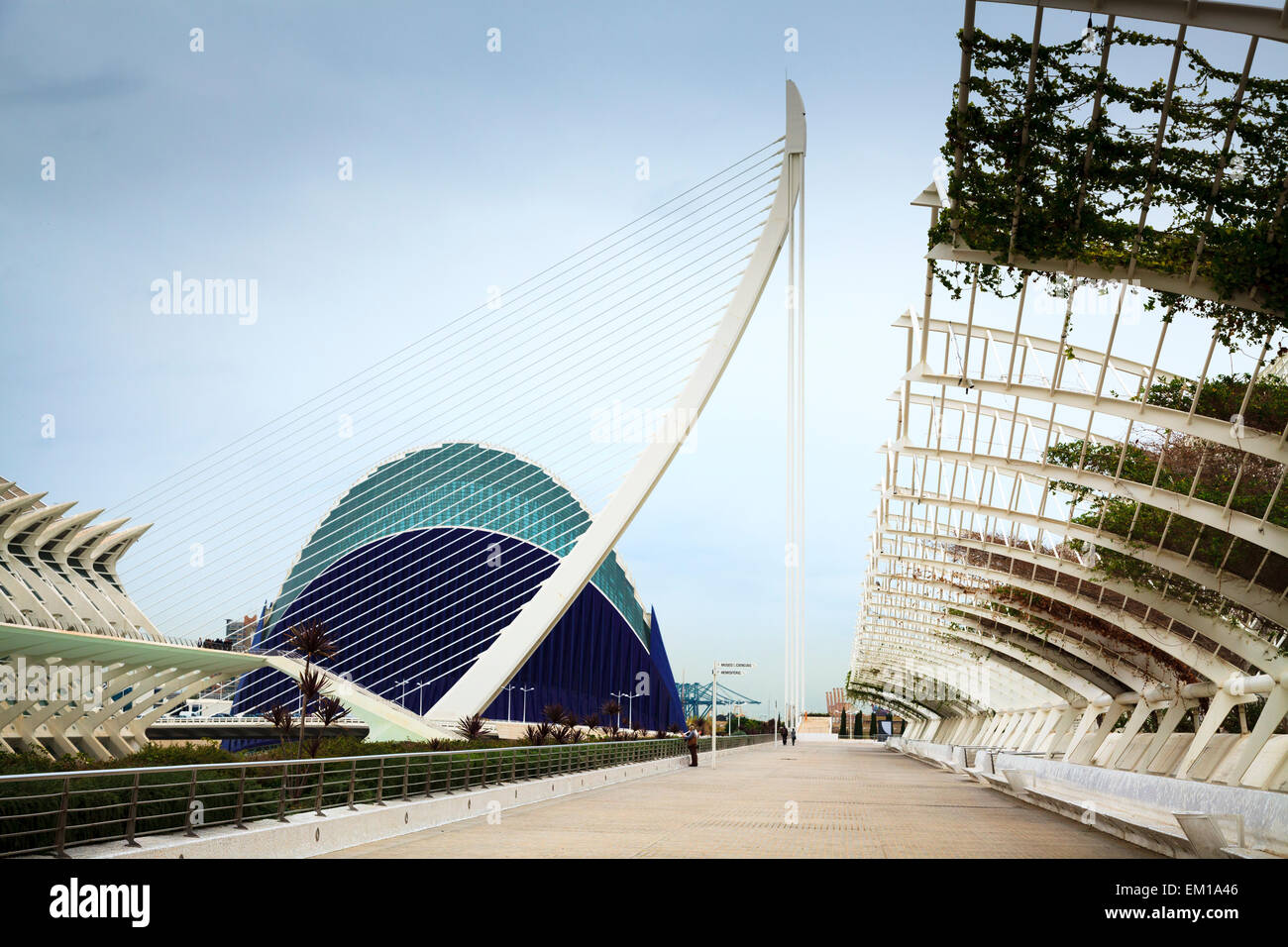 L'Agora building and the walkways of L'Umbracle Valencia Spain Stock Photo