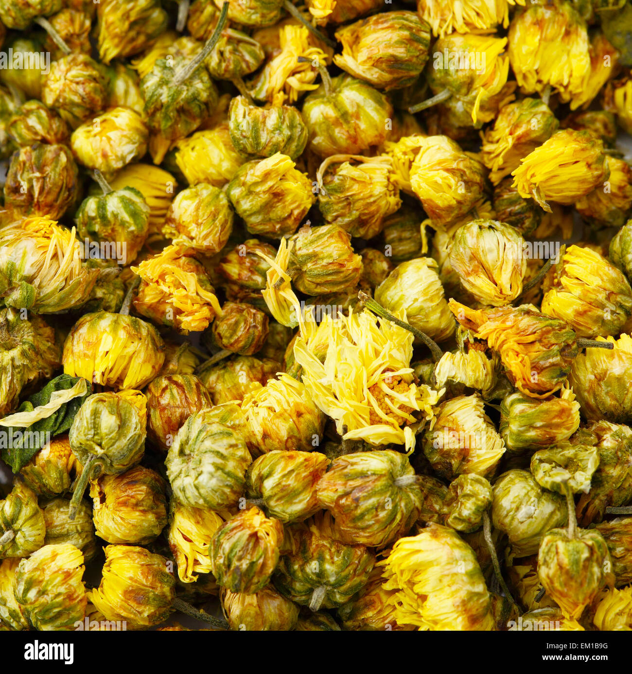 Heap of dried chamomile flower Stock Photo Alamy