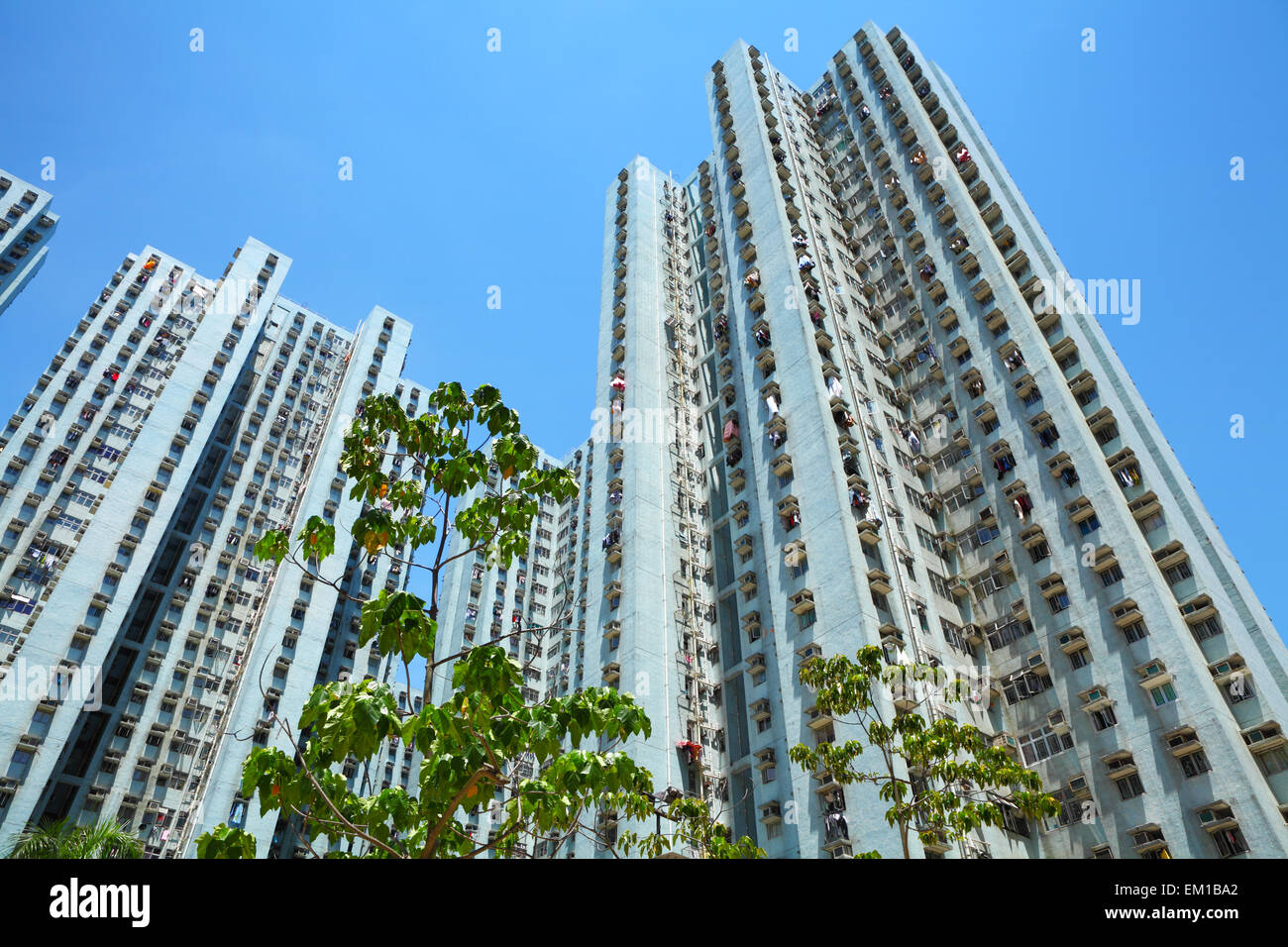 Public housing in Hong Kong Stock Photo Alamy