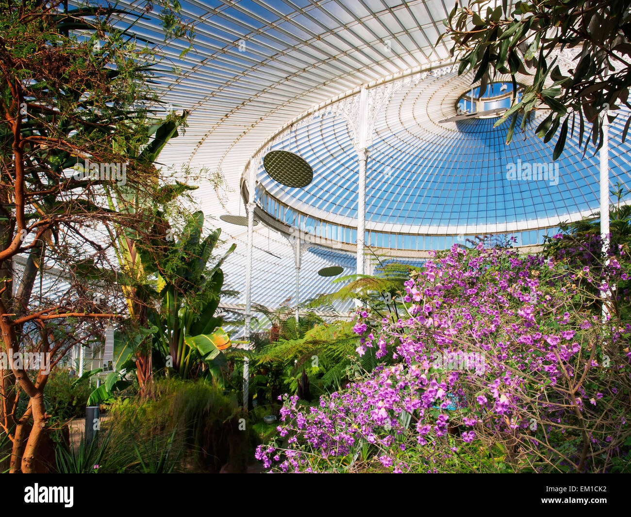 Glasgow botanic gardens hires stock photography and images Alamy