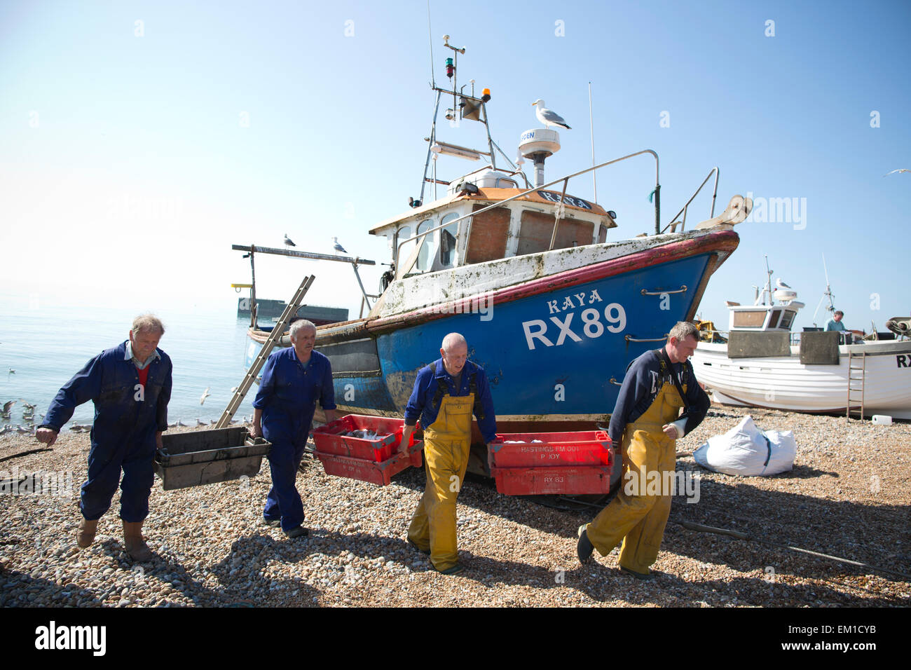 Hastings, East Sussex, UK. 15th April, 2015.  Local fisherman bring in their days catch of sole and mackerel on the beaches of Hastings where temperatures rose above 21 degrees C, East Sussex, England, UK. The Fishing community of Hastings, one of the oldest ports and largest beach-launched fishing fleet in Britain, East Sussex, UK Credit:  Jeff Gilbert/Alamy Live News Stock Photo