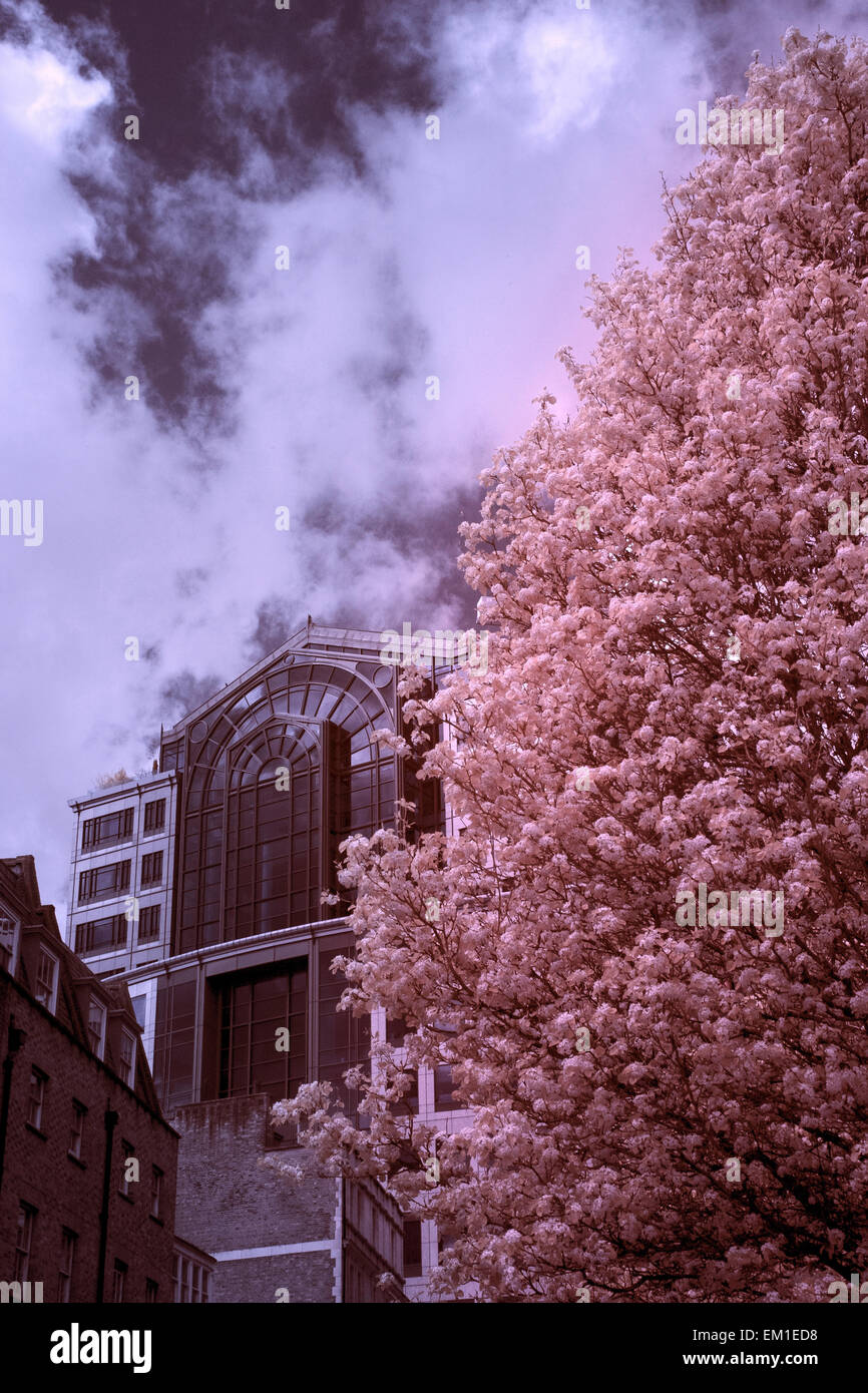 False Colour Infra Red Image Stock Photo - Alamy