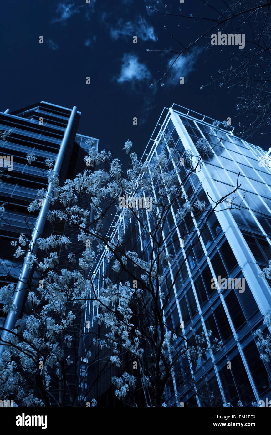 False Colour Infra Red Image Stock Photo - Alamy