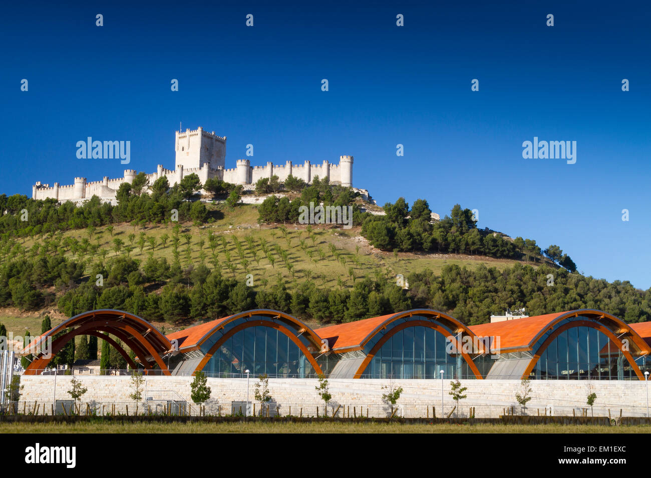 'Protos' winery and Castle. Peñafiel village. Ribera de Duero region. Valladolid. Castile and Leon. Spain, Europe. Stock Photo