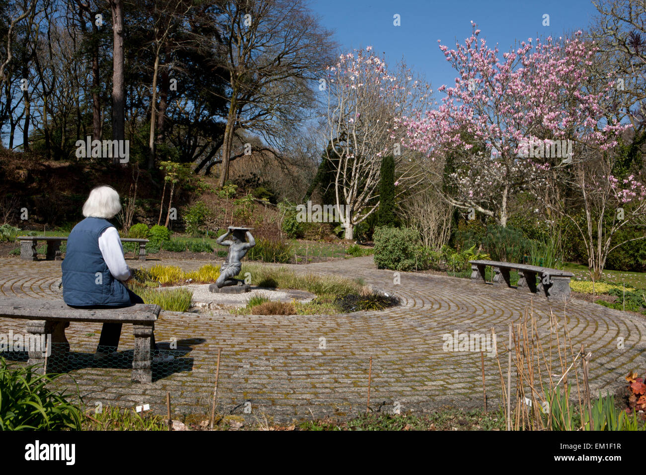 A lady visitor relaxes in the Slave garden with a sundial and magnolia's at Pinetum Park St Austell  Cornwall on a Spring Day. Stock Photo