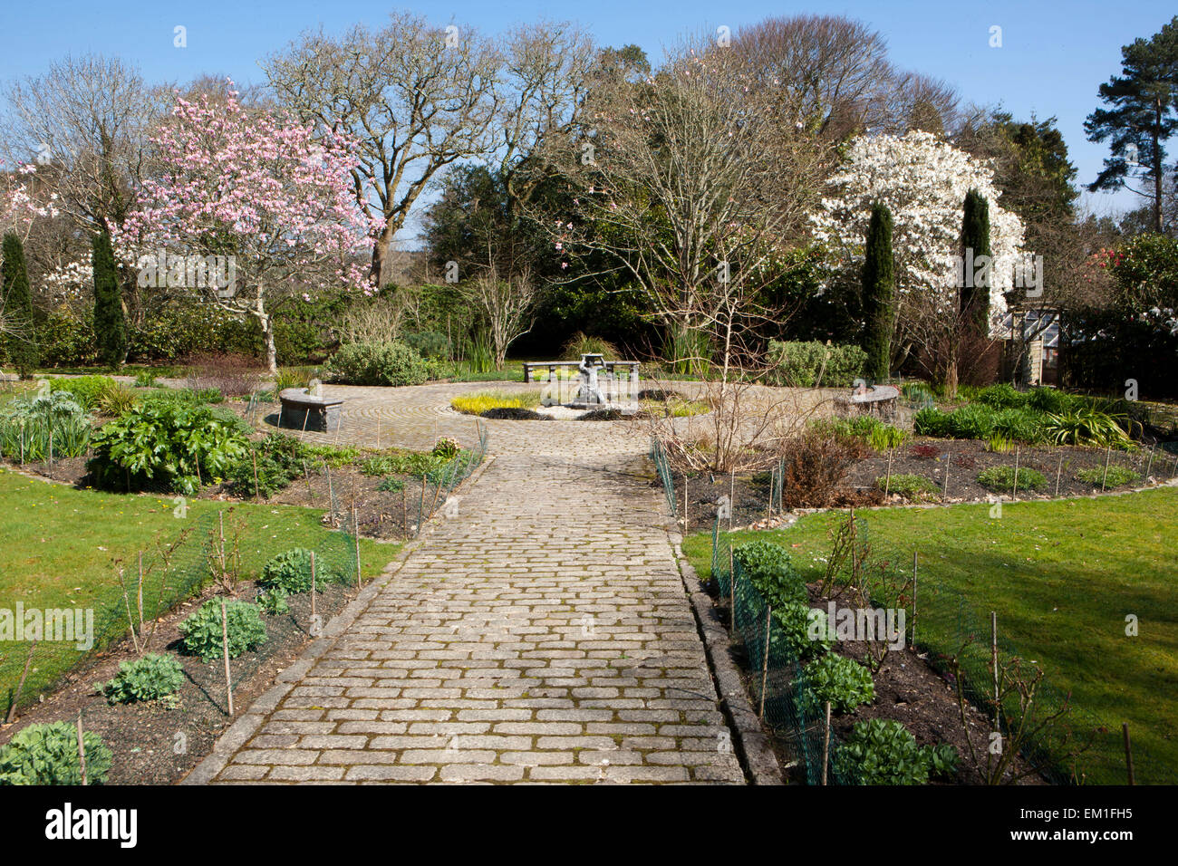 The Slave Gardens at Pinetum Park St Austell  Cornwall on a Spring Day with magnolia trees,sundial and wide pathways Stock Photo
