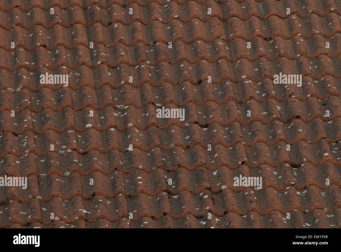 Wavy roof tiles hires stock photography and images Alamy