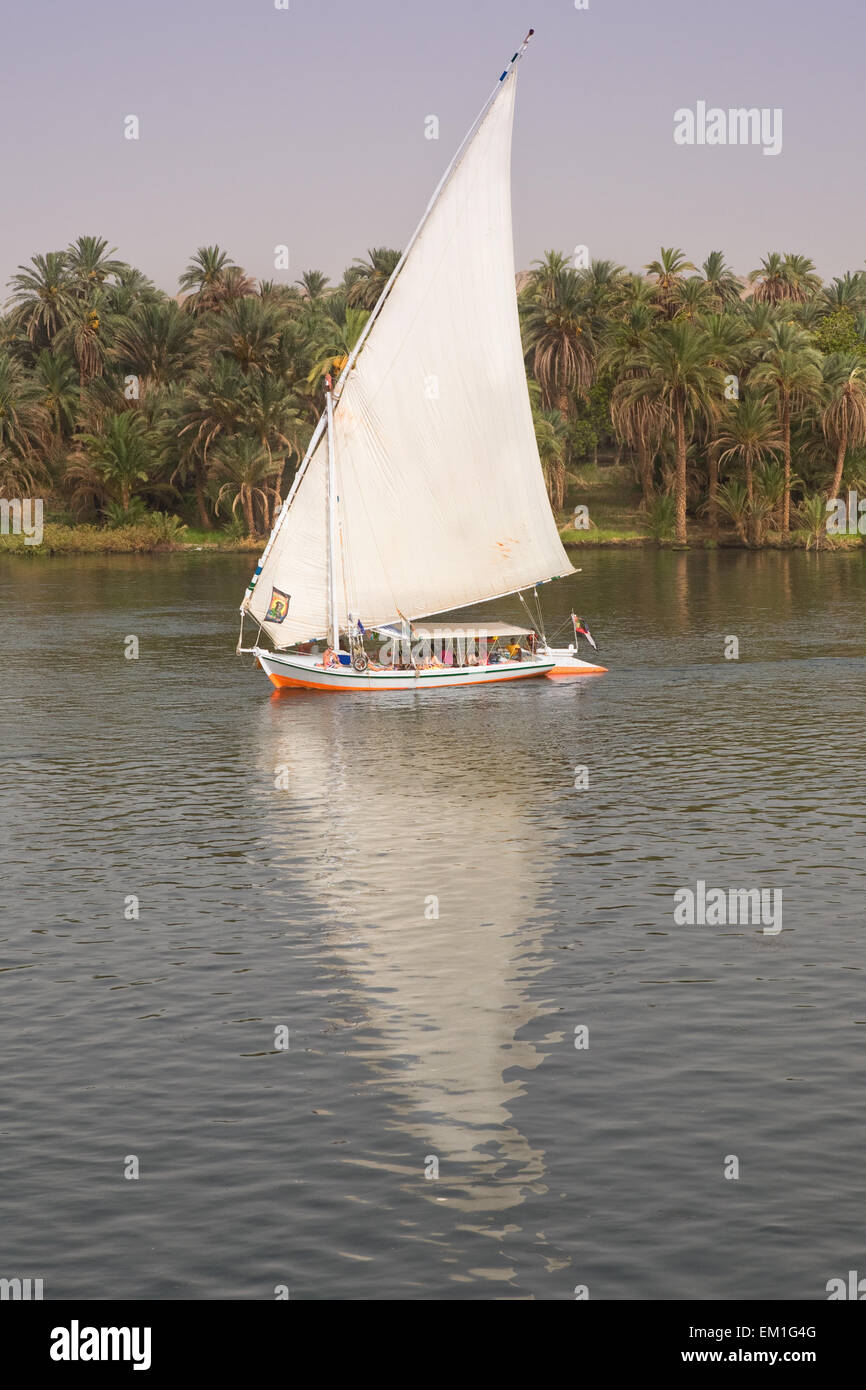 A felucca sailboat glides across the Nile River Stock Photo - Alamy