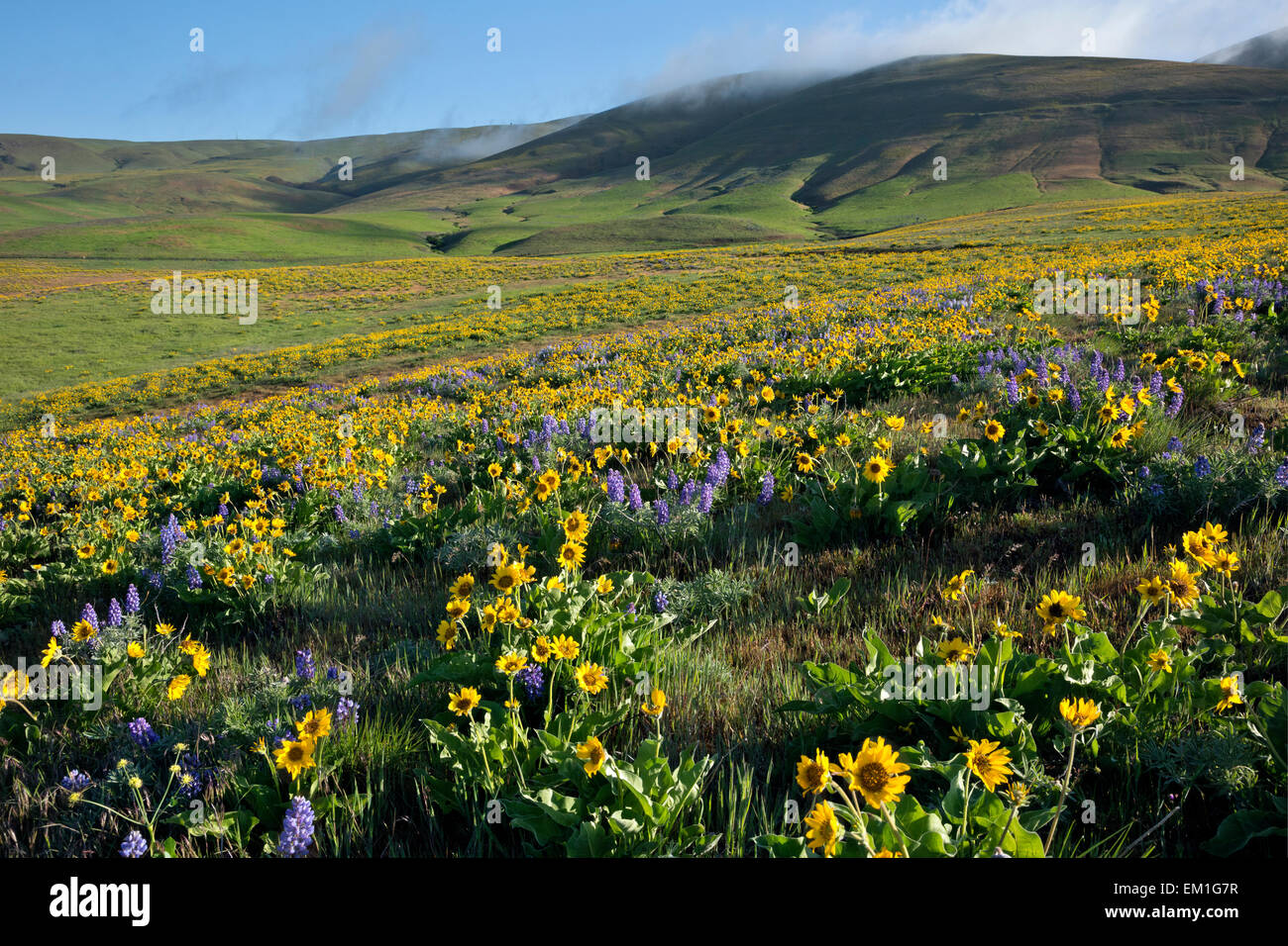 Fog Covered Hills High Resolution Stock Photography and Images - Alamy