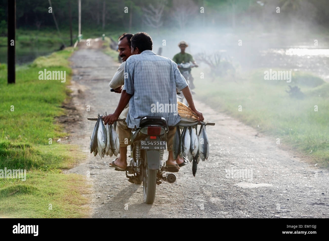 Fish traders tour villages by motorcycle with fresh catch at the end of each day; Lamno, Aceh Province, Sumatra, Indonesia Stock Photo