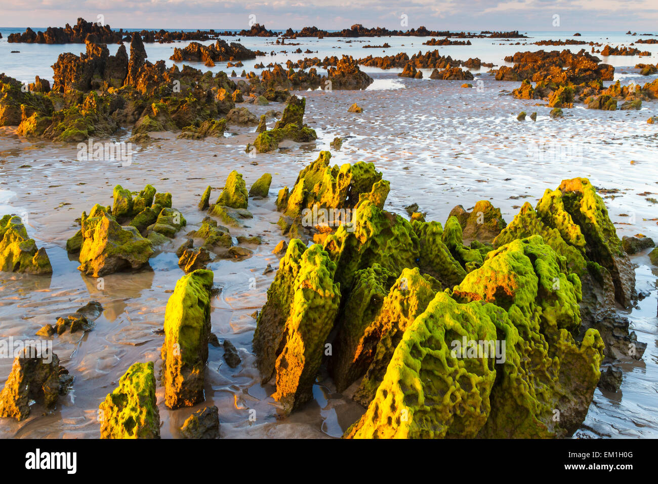 Rocky beach. Trengandin beach. Noja, Cantabria. Spain, Europe. Stock Photo