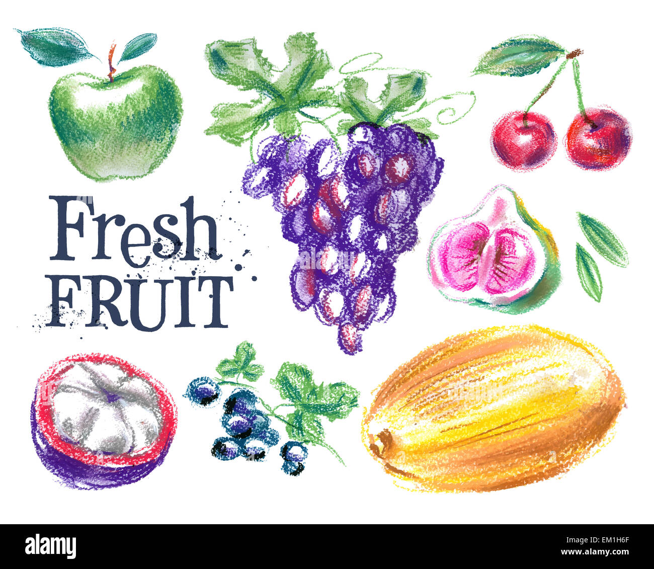 fresh fruit vector logo design template. ripe food or harvest icon. Stock Photo