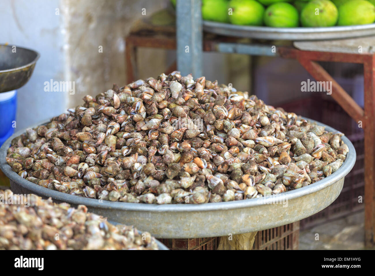 Traditional asian fish market Stock Photo Alamy