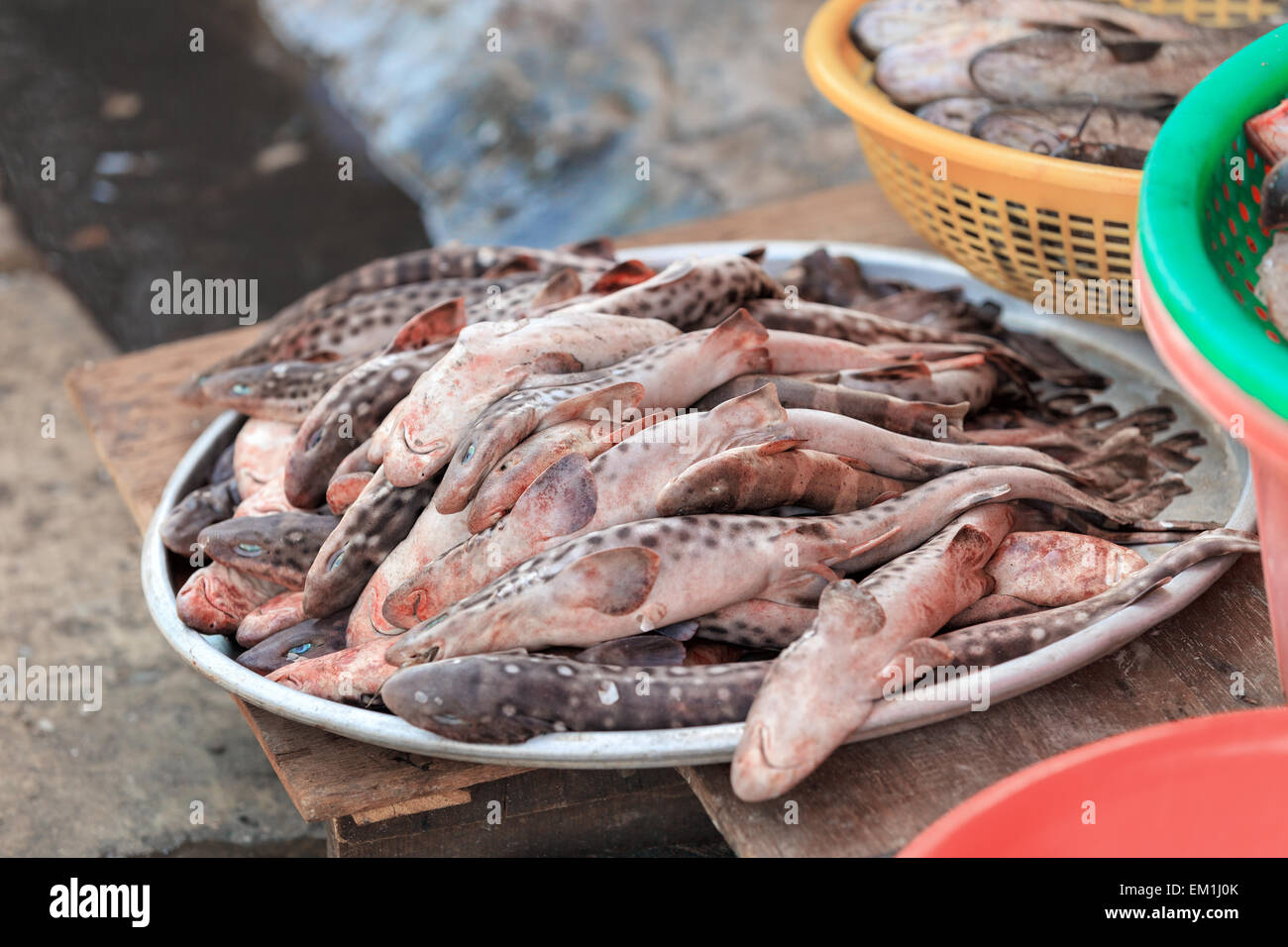 Traditional asian fish market Stock Photo Alamy