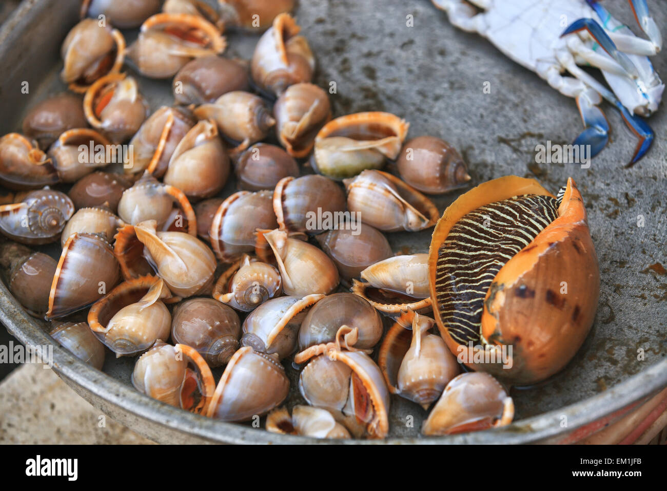 Traditional asian fish market Stock Photo Alamy