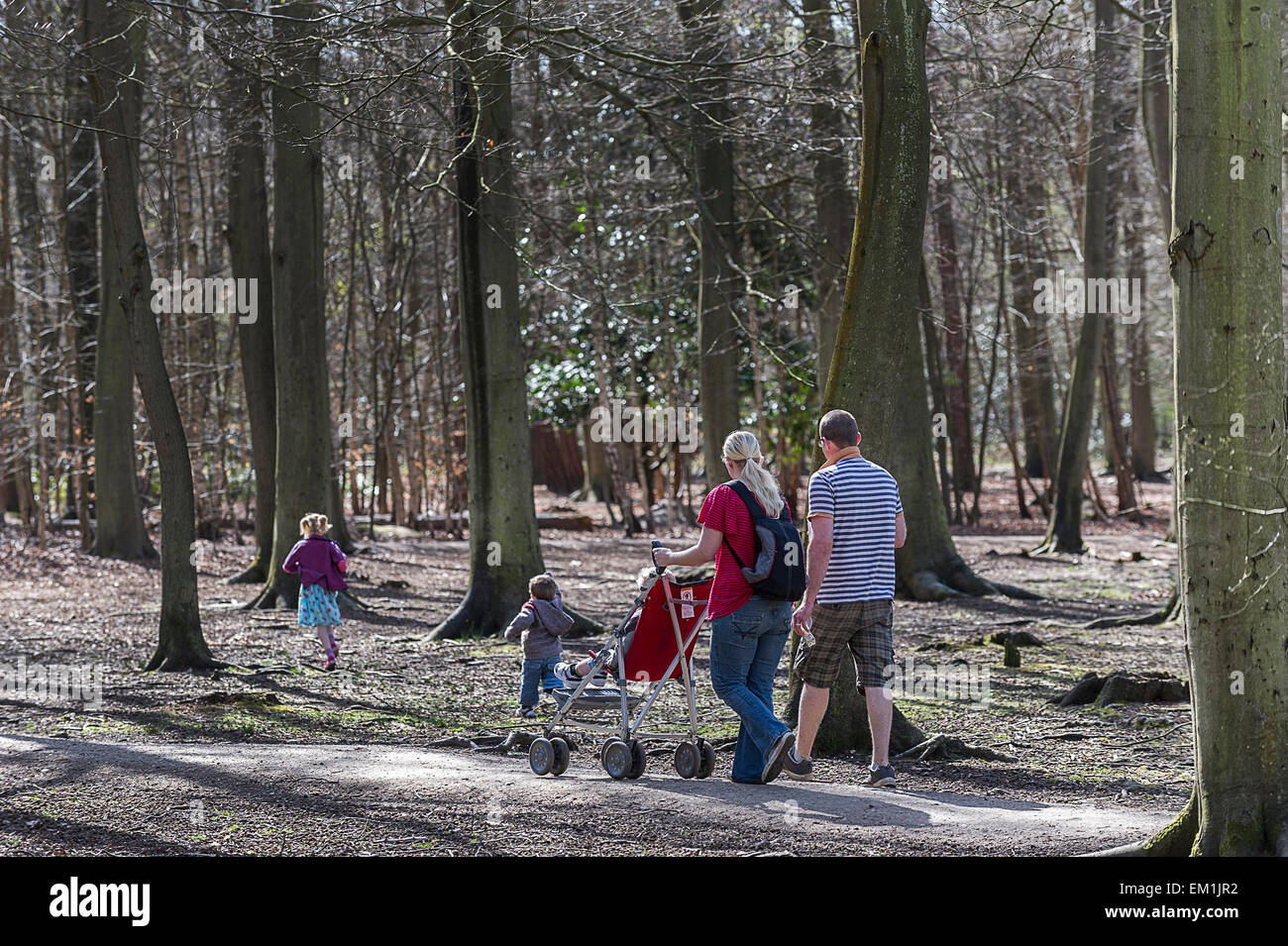 A family walking through Thorndon Park woodland, Essex. Stock Photo