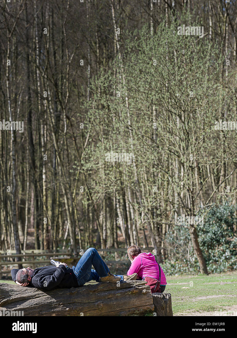 People relaxing in the sunshine in Thorndon Park woodland, Essex. Stock Photo