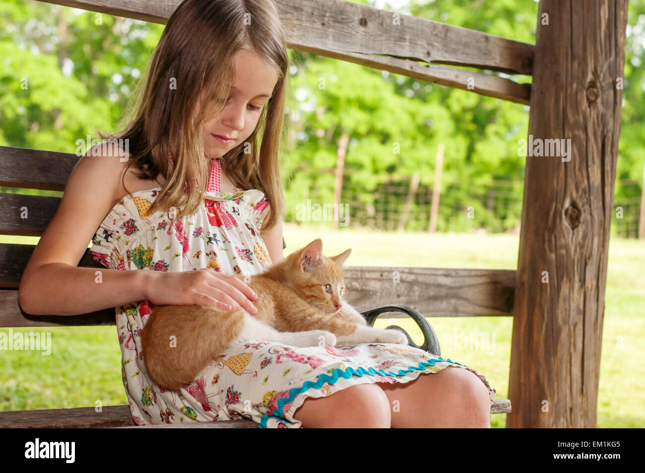 girl petting kitten in barn Stock Photo