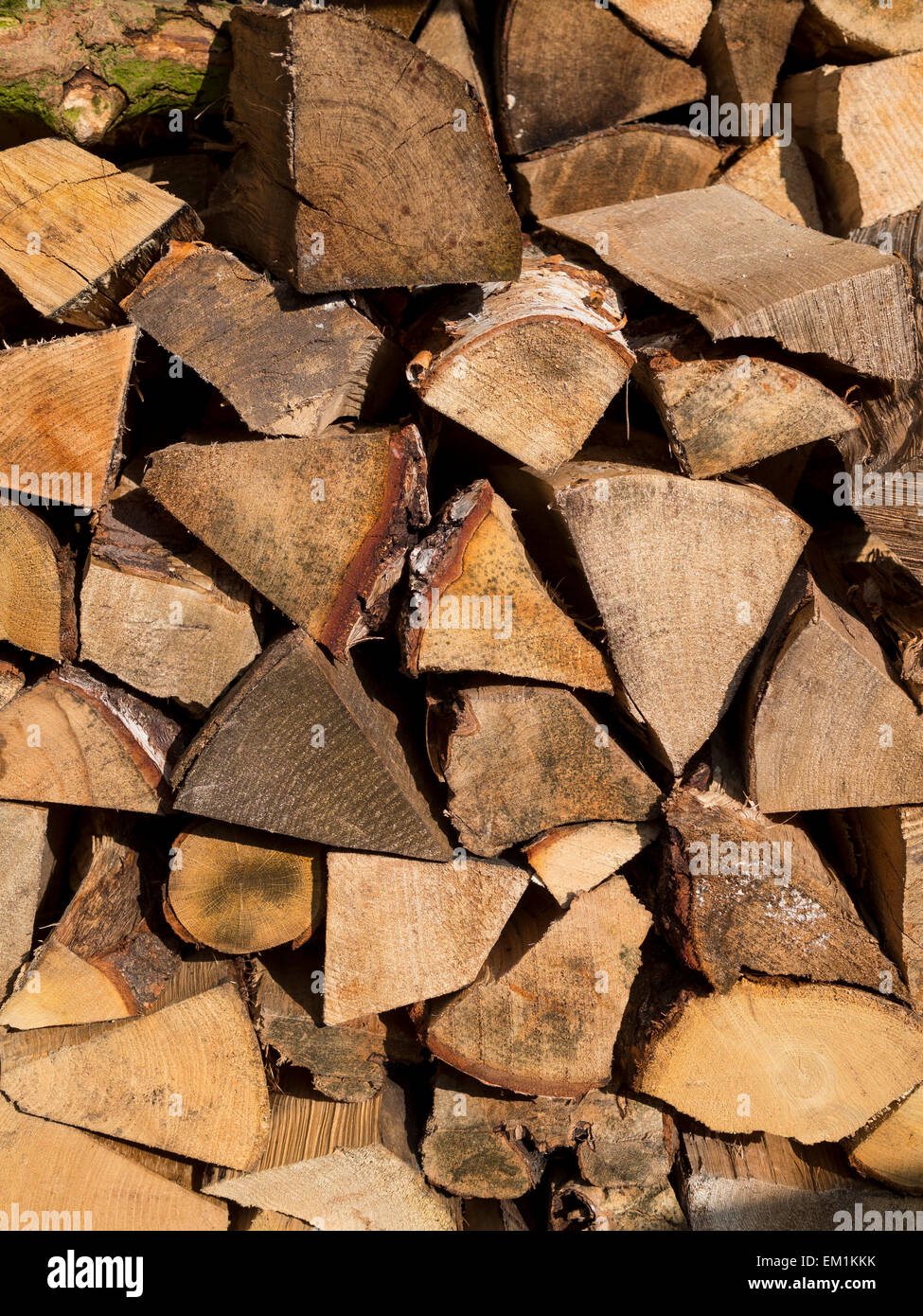 wood pile, Derbyshire,UK Stock Photo