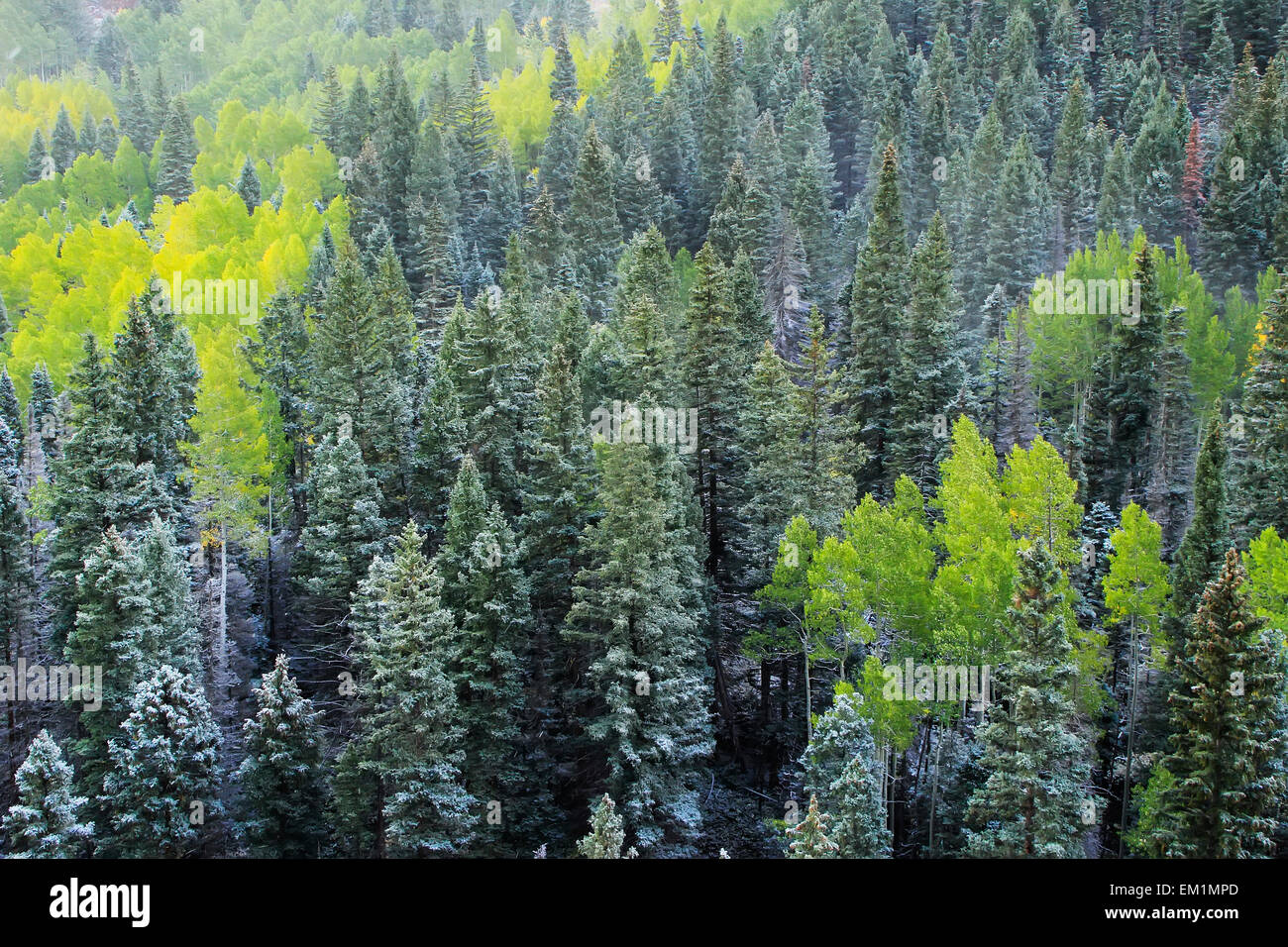 Mount Sneffels Range with fresh snow, Colorado, USA Stock Photo