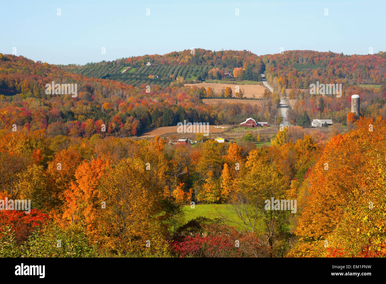 Multicolor trees with a farm hires stock photography and images Alamy
