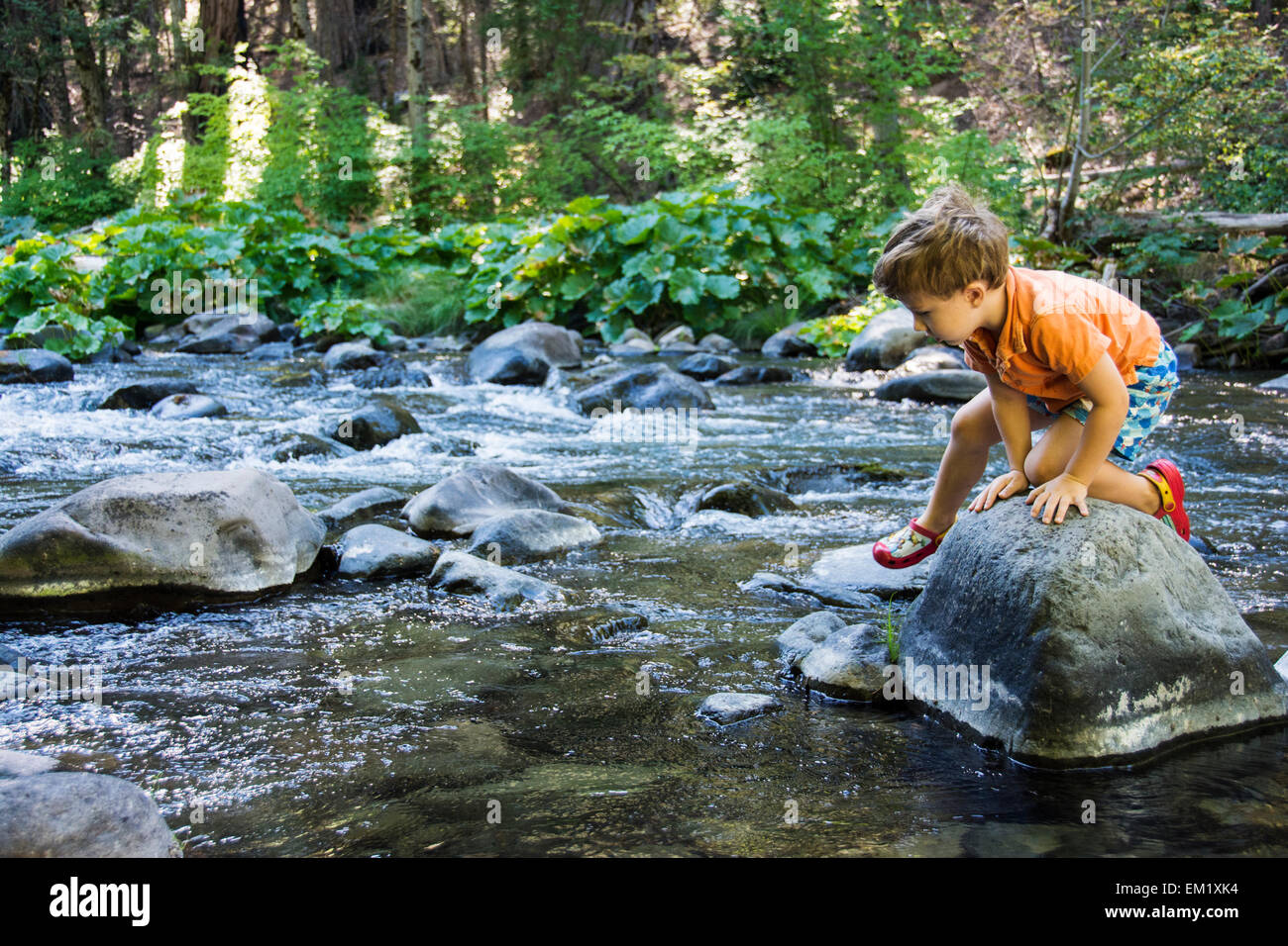 Toddler boy navigating over rocks in Deer Creek, California. Stock Photo