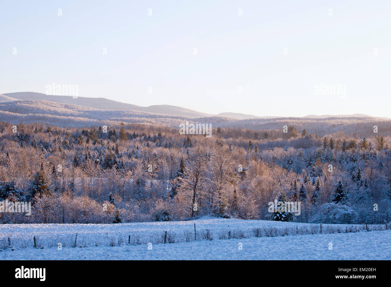 A Forest And Field Covered With Snow And Mountains In The Background