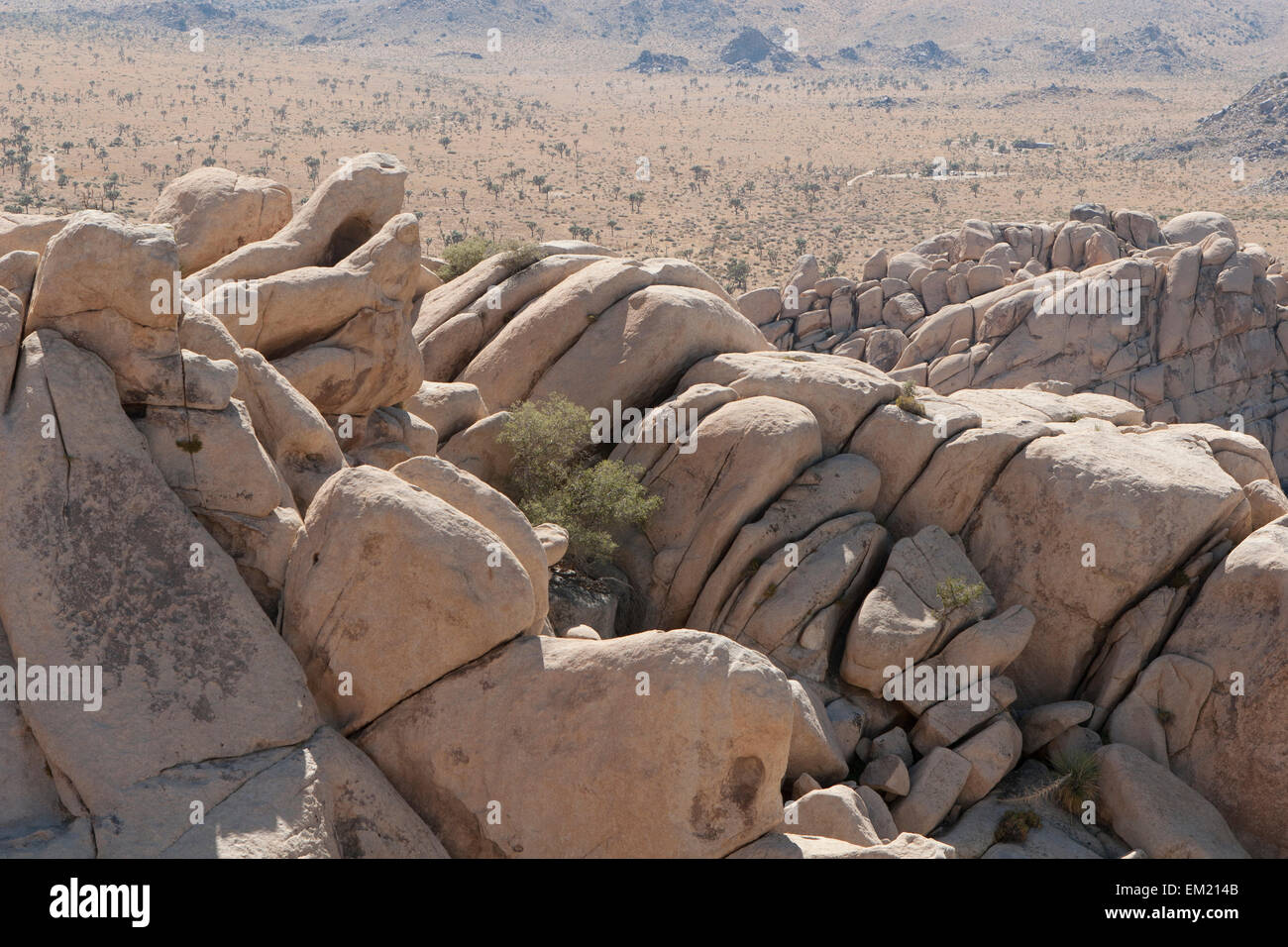 Valley S With Rounded Rocks Rounded Rock Formations With Desert Valley In The Distance; Palm ...