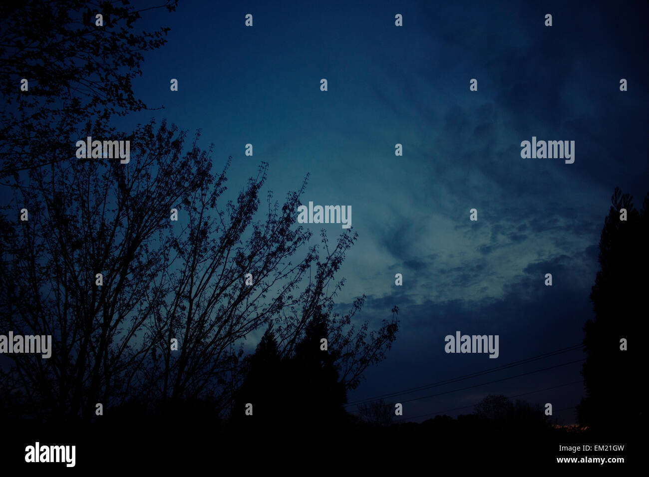 A beautiful ocean blue night sky with dark silhouettes of trees. Stock Photo