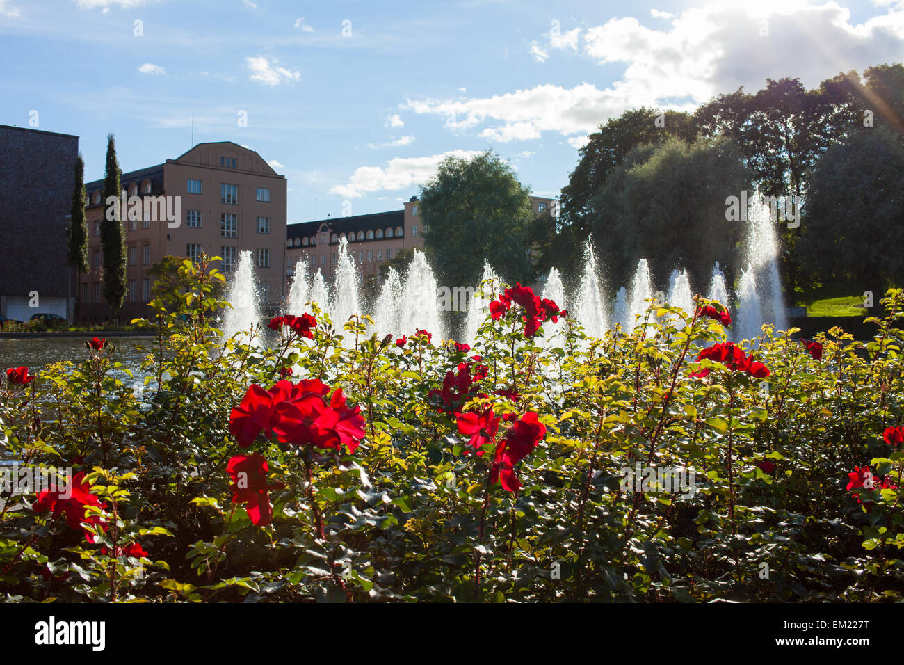 Helsinki Finland Europe sunny day roses red flowers water fountain Stock Photo