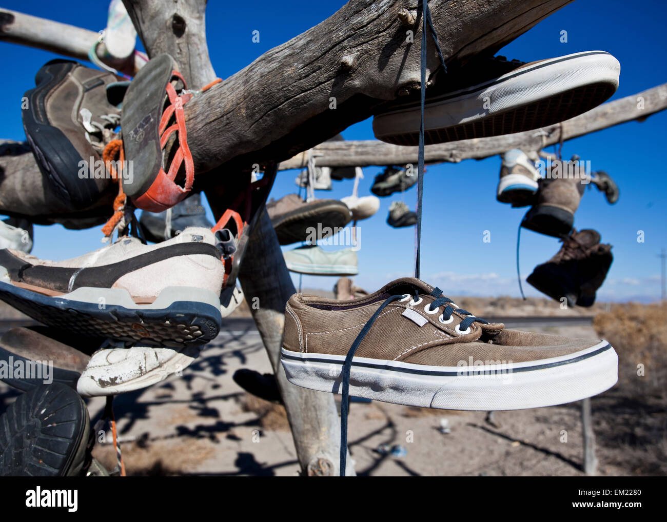 Shoes hang from a tree Stock Photo Alamy