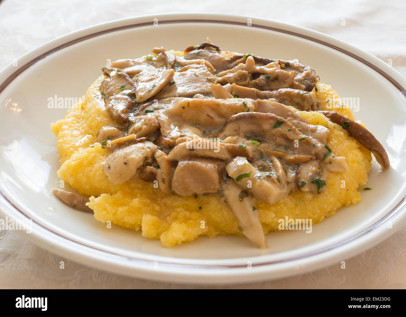 Pictured Polenta with mushrooms "Porcini" and herb Stock Photo Alamy