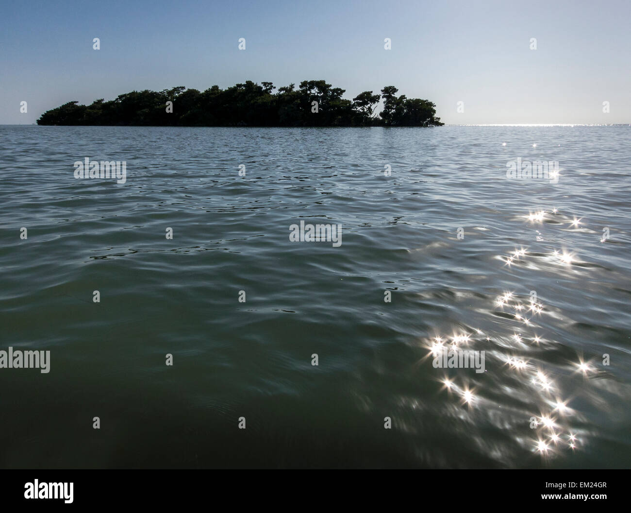 Tiny Oyster Key floats in Florida Bay off Flamingo, Everglades