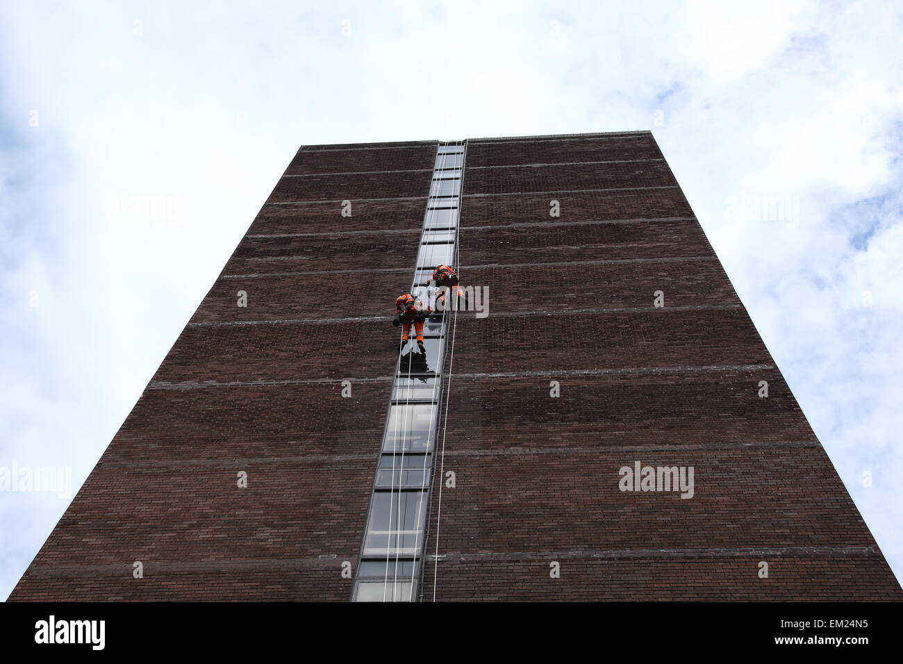 Two workers, roped for vertical access, clean the windows  of an office block in Manchester, UK Stock Photo