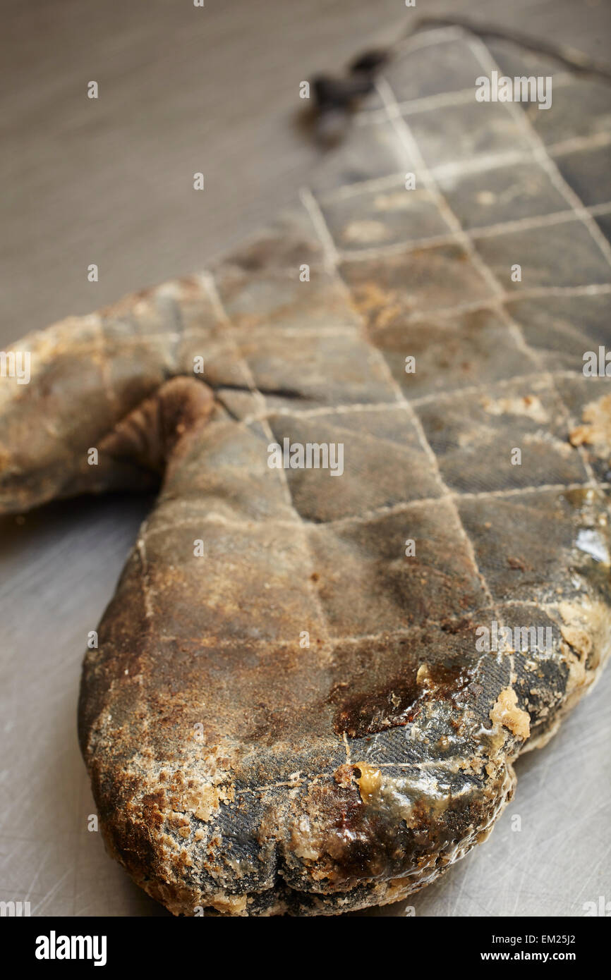 well-used oven mitt from a professional bakery Stock Photo